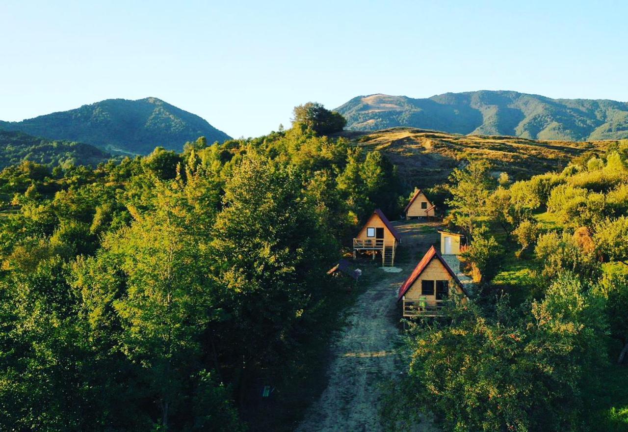Cabanele lu’ Dinu Curtea de Argeş Exterior foto