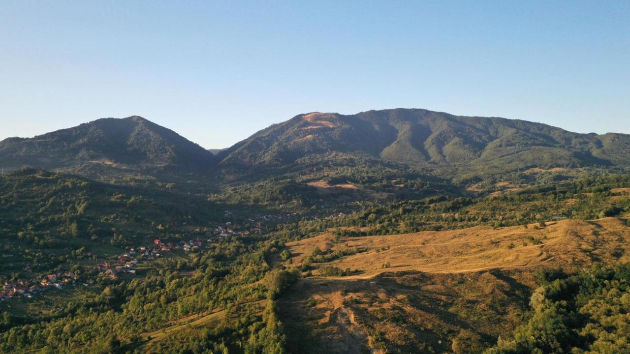 Cabanele lu’ Dinu Curtea de Argeş Exterior foto