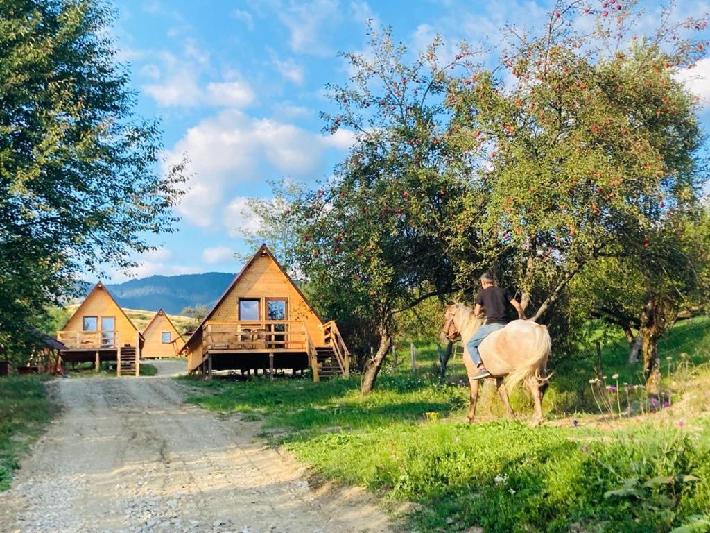 Cabanele lu’ Dinu Curtea de Argeş Exterior foto