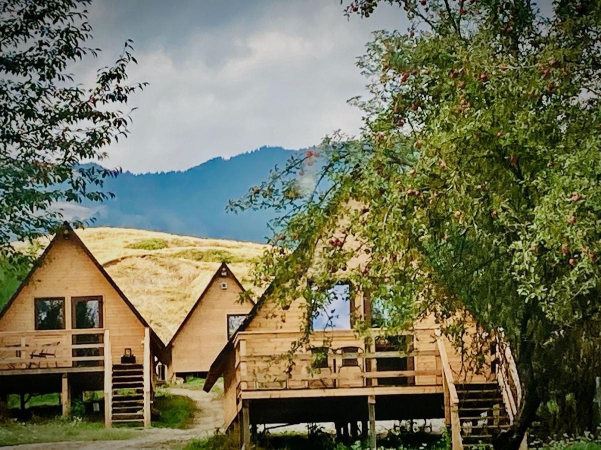Cabanele lu’ Dinu Curtea de Argeş Exterior foto